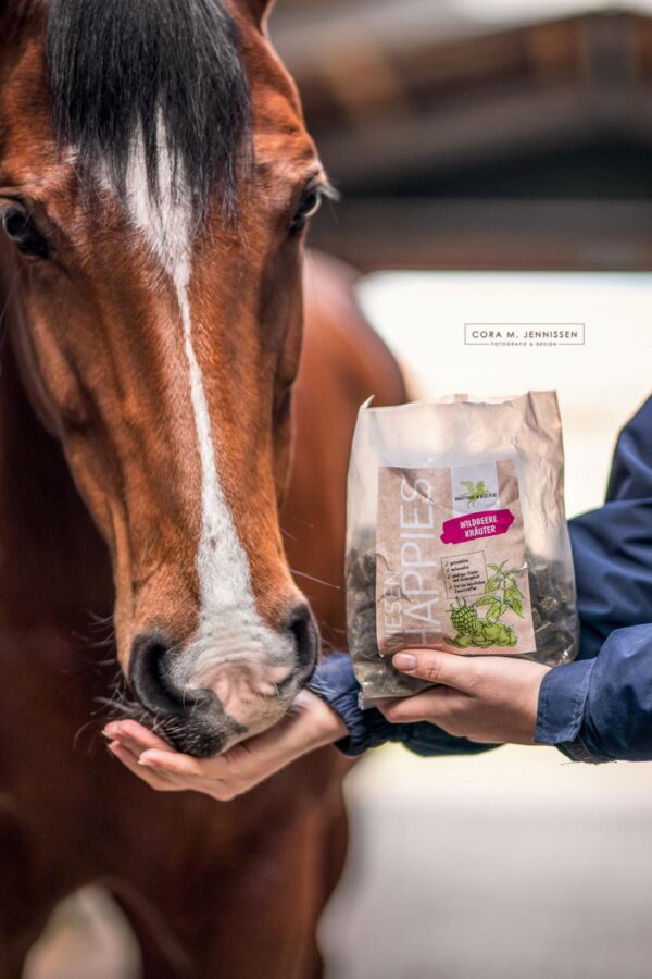 5c967912-22ce-442d-aa86-c1b00632c0ce