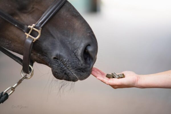 88bdba02-8c52-4cc7-9a7e-61304d41e881