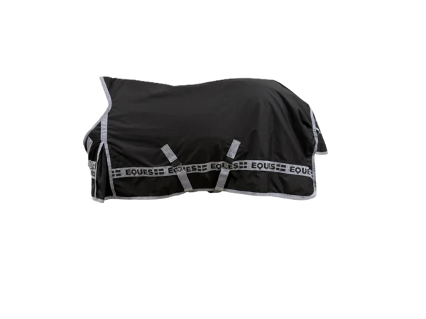 Winter Rug No Background