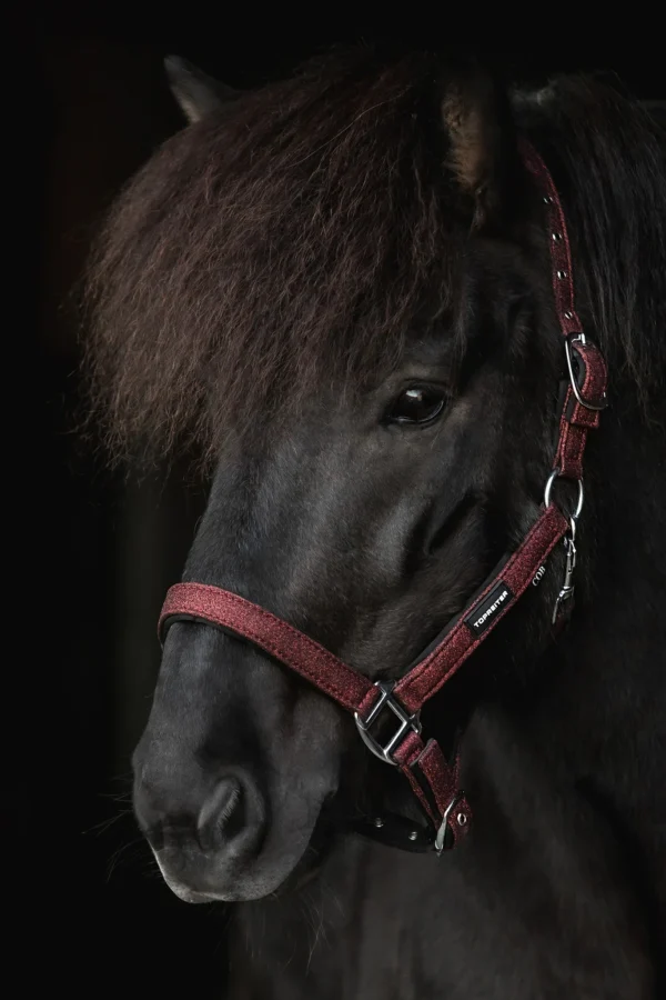 topreiter-glitrandi-halter-burgundy_1365x2048