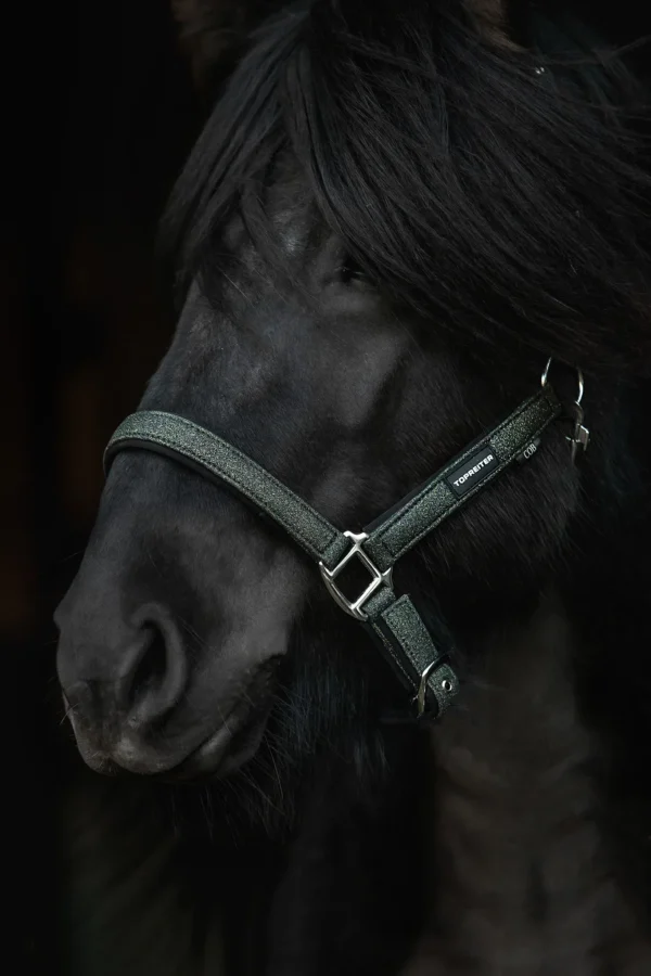 topreiter-halter-glitrandi-green-detail_1365x2048