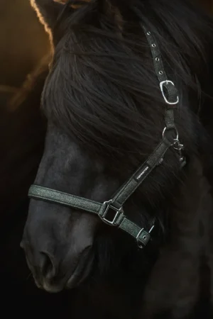 Grimset Glitrandi - Nu fler färger!