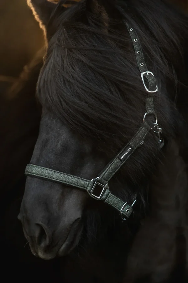 topreiter-halter-glitrandi-green_1365x2048