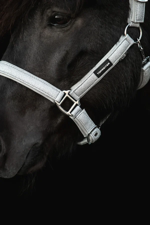 topreiter-halter-glitrandi-silver-detail_1365x2048