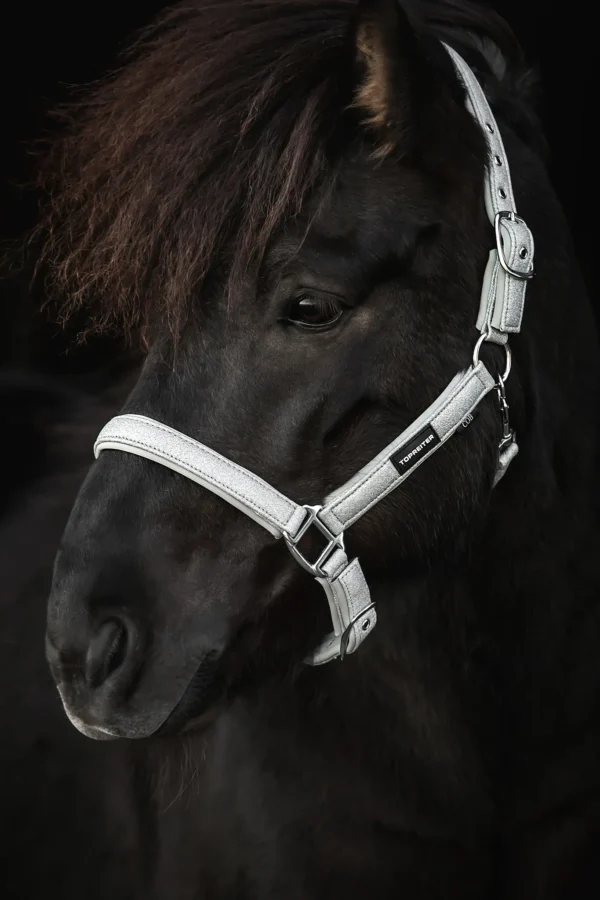 topreiter-halter-glitrandi-silver_1365x2048