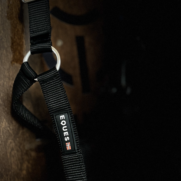Eques_Halter-2