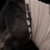topreiter-eczema-necktube-detail_1365x2048
