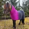 horse-rug-42