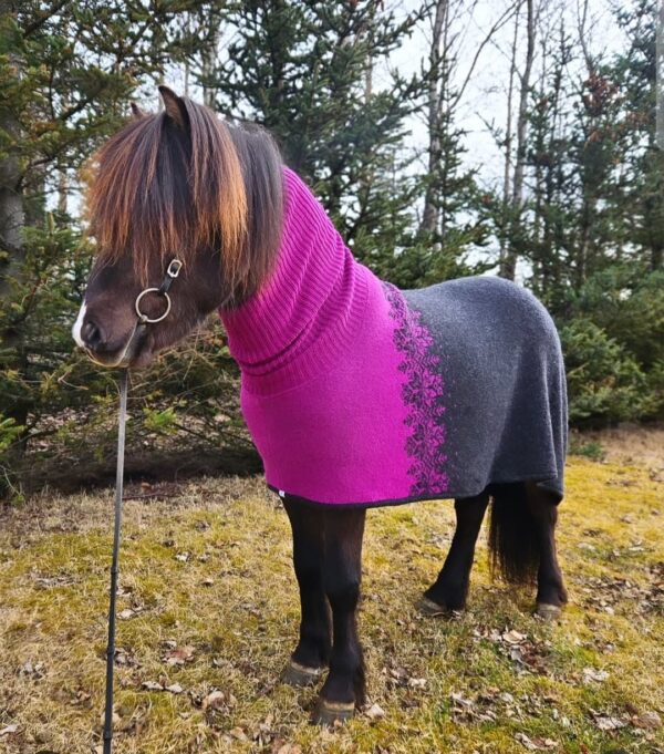 horse-rug-42