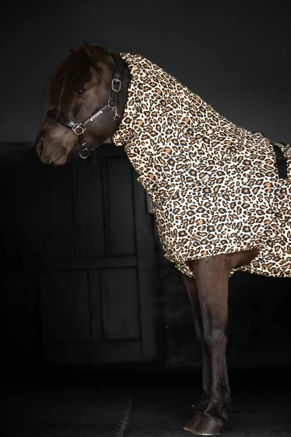 topreiter-eczema-rug-horse-leo-brown-detail_1365x2047
