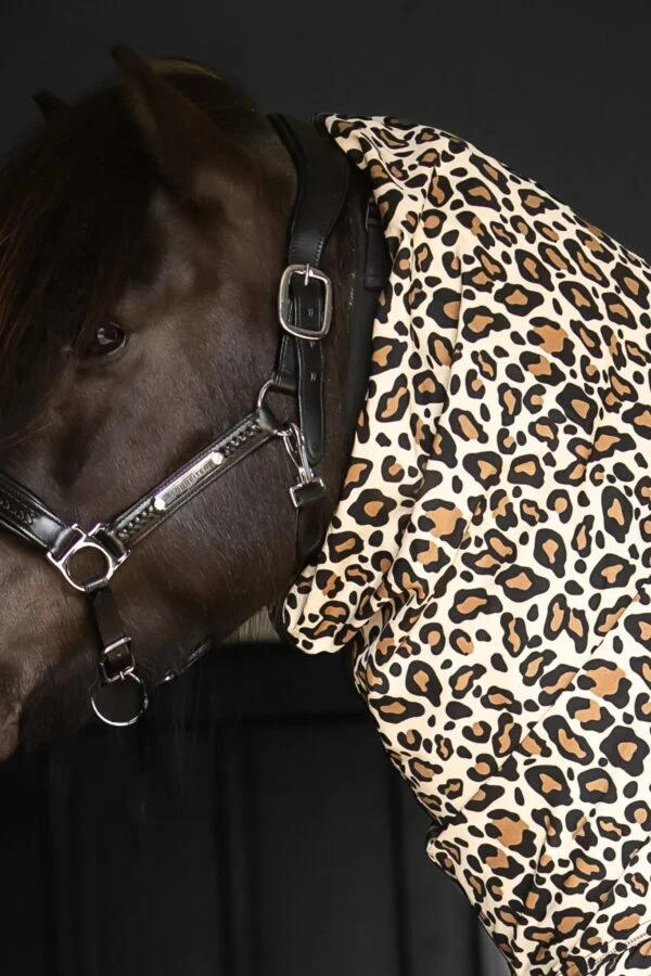 topreiter-eczema-rug-horse-leo-brown-neck_1365x2048 (1)