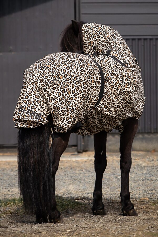 topreiter-eczema-rug-horse-leo-brown-outside_1365x2048