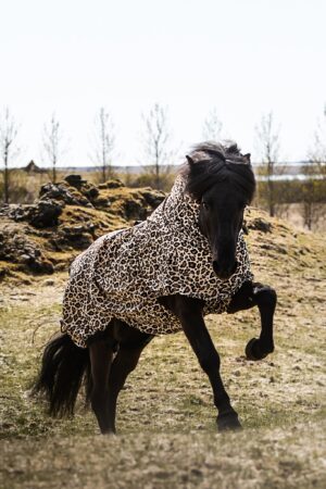 Eksemtäcke Leopard - Kommer inom kort!