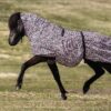 topreiter-eczema-rug-horse-leo-pink_1365x2048
