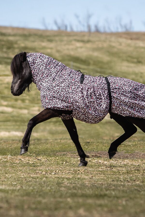 topreiter-eczema-rug-horse-leo-pink_1365x2048
