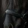 topreiter-snillingur-leather-halter-detail_1365x2048