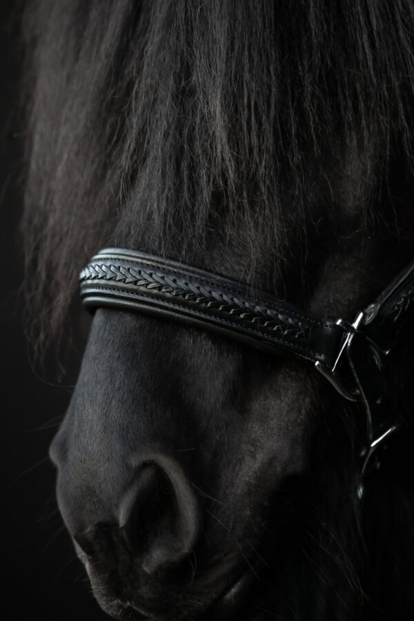 topreiter-snillingur-leather-halter-detail_1365x2048