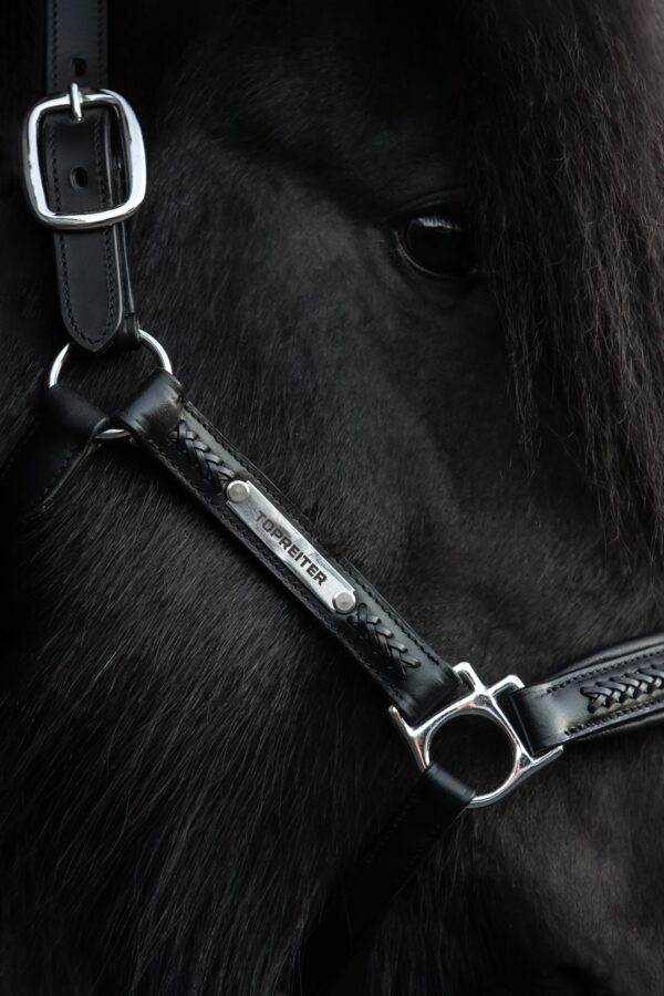 topreiter-snillingur-leather-halter-engraving_1365x2048