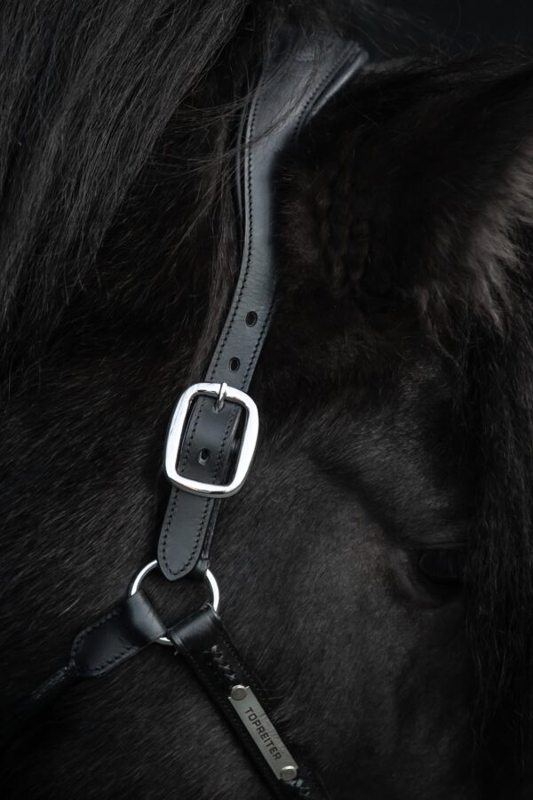 topreiter-snillingur-leather-halter-headstall_1365x2048