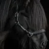 topreiter-snillingur-leather-halter-side_1365x2048