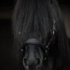 topreiter-snillingur-leather-halter_1365x2048
