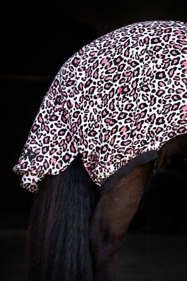 topreiter-sweetitch-rug-horse-leo-pink-back_1365x2048