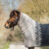 web-_gw_4699_2_bearb3