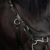 topreiter-cob-anatomical-bridle-ofeigur-black-side_1365x2048