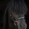 topreiter-cob-anatomical-bridle-ofeigur-black_1365x2048