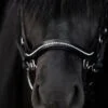 topreiter-cob-anatomical-bridle-ofeigur-front-glitter_1365x2048