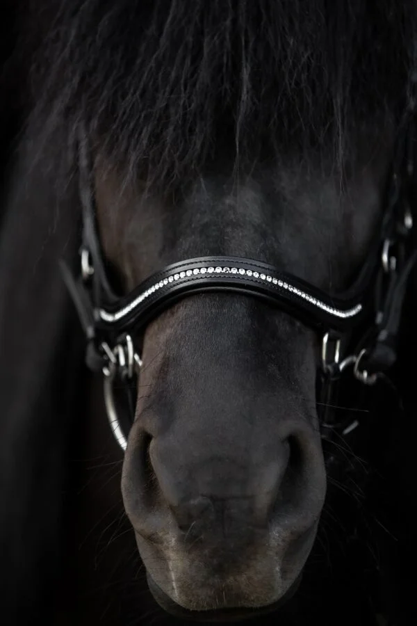 topreiter-cob-anatomical-bridle-ofeigur-front-glitter_1365x2048