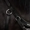 topreiter-cob-anatomical-bridle-ofeigur-glitter-side_1365x2048