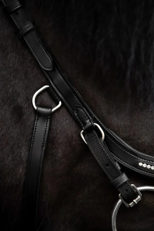 topreiter-cob-anatomical-bridle-ofeigur-glitter-side_1365x2048