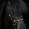 topreiter-cob-anatomical-bridle-ofeigur-glitter_1365x2048