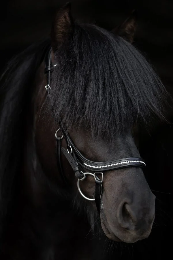 topreiter-cob-anatomical-bridle-ofeigur-glitter_1365x2048