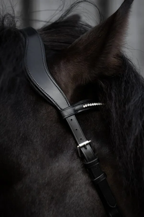 topreiter-cob-anatomical-bridle-ofeigur-headpiece-bling_1365x2048