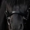 topreiter-cob-anatomical-bridle-ofeigur-headpiece-leather-front_1365x2048