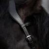 topreiter-cob-anatomical-bridle-ofeigur-headpiece-leather_1365x2048