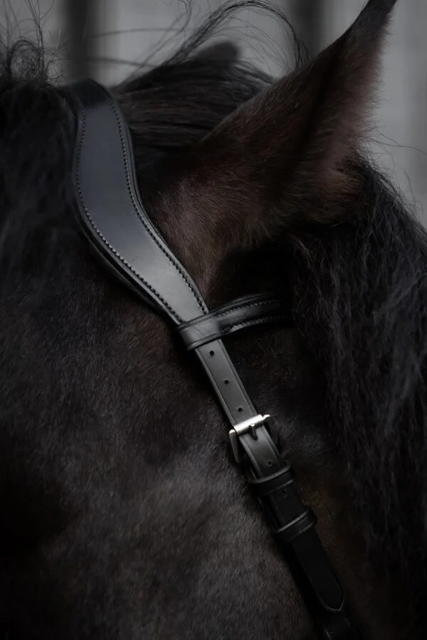 topreiter-cob-anatomical-bridle-ofeigur-headpiece-leather_1365x2048