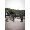 lippo_schalock_Icelandic_hast_och_ryttare