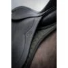 lippo_schalock_Icelandic_med sadel