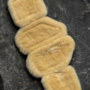 topreiter_anatomic_saddlegirth_magicmove_lambskin_inside_1365x2048