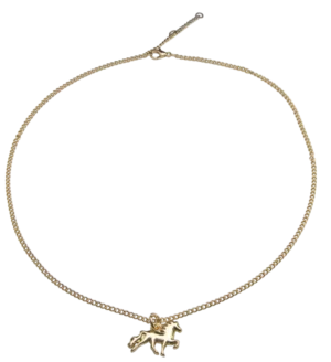 Halsband Saga
